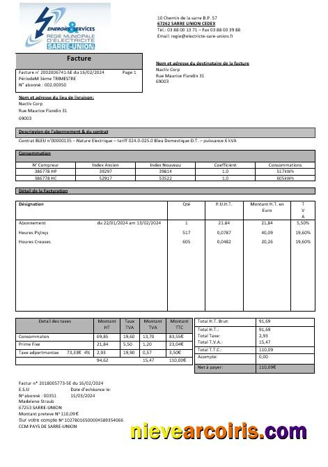France Energies & Services Régie Municipal d’ Electricité Sarre-Union electricity business utility bill